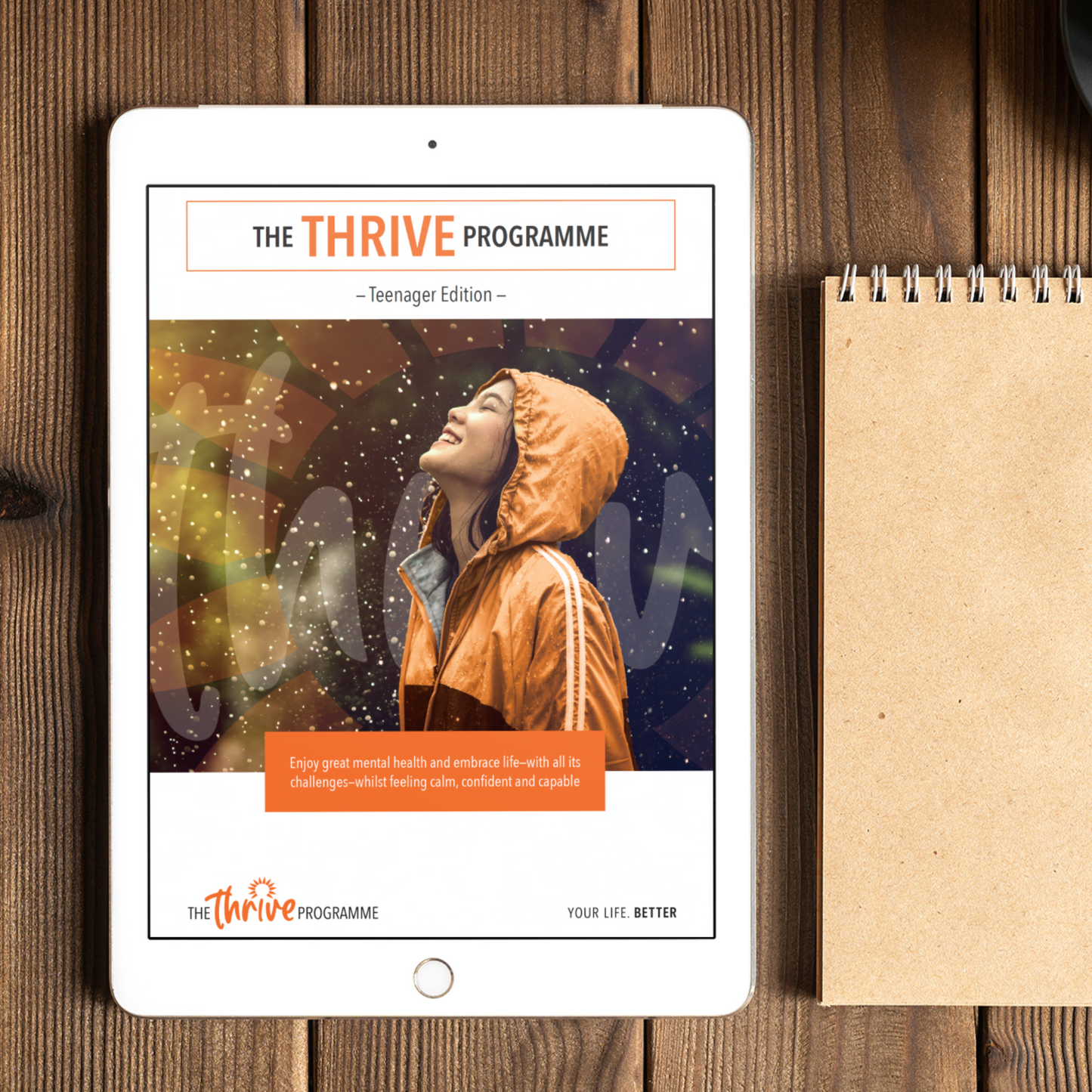 The Thrive Programme for Teenagers (with Online Manual)