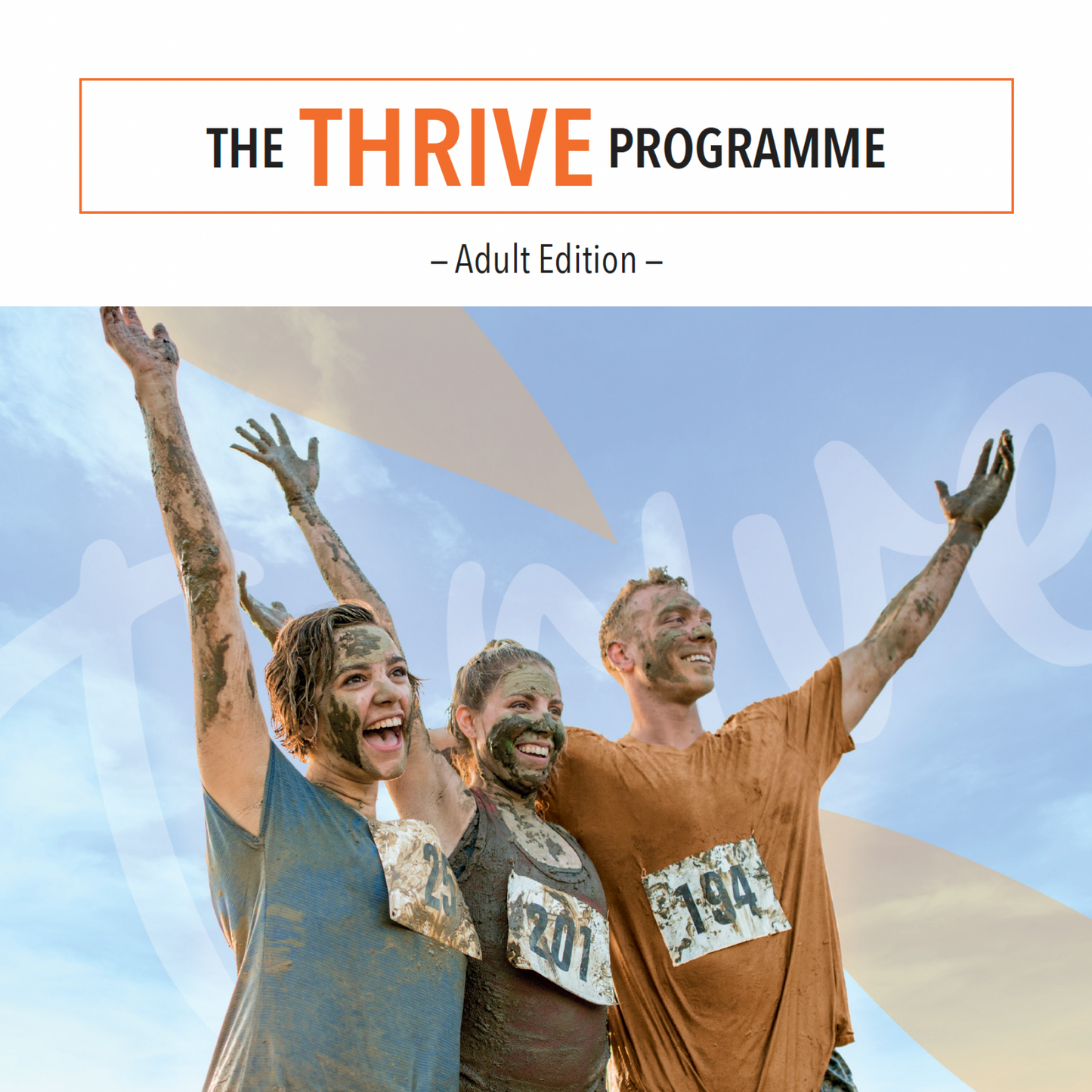 The Thrive Programme for Adults (with Online Manual)