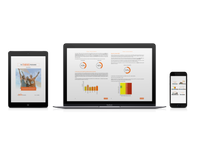 Product 1 The Thrive Programme for Adults (with Online Manual)